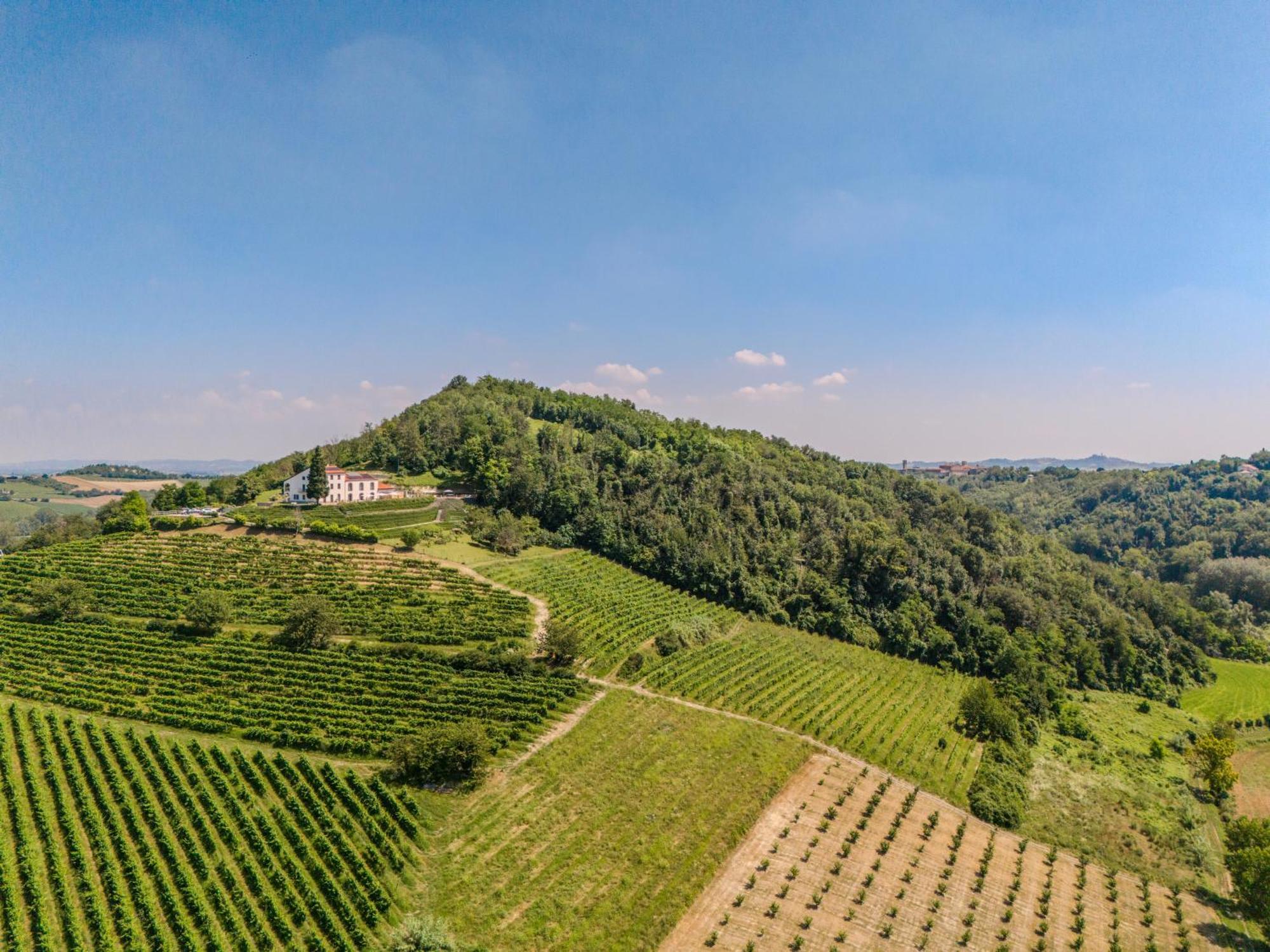 Villa Rocco Country House Ozzano Monferrato Exteriér fotografie